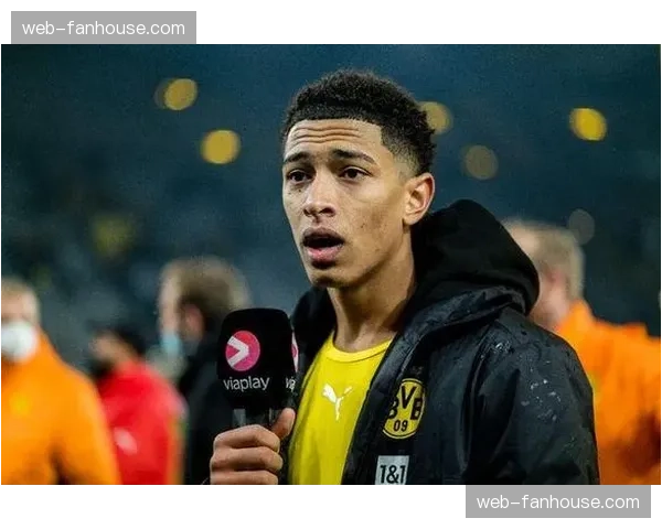 调查：德甲俱乐部与本地社区商业合作的创新模式